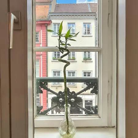 Charmante Altbauwohnung Im Herzen Der Altstadt * Heidelberg